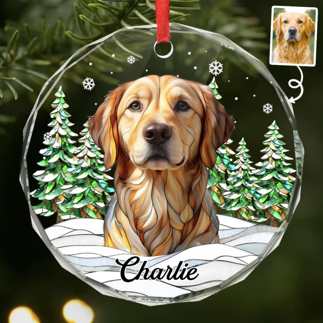 Adorno de Cristal Personalizado con Foto y Nombre de tu Mascota