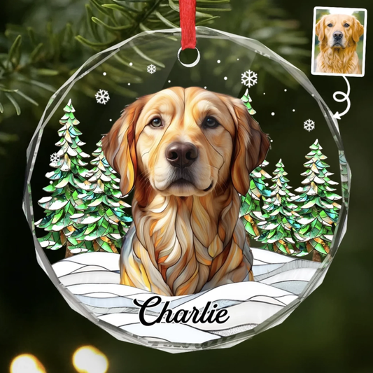 Adorno de Cristal Personalizado con Foto y Nombre de tu Mascota