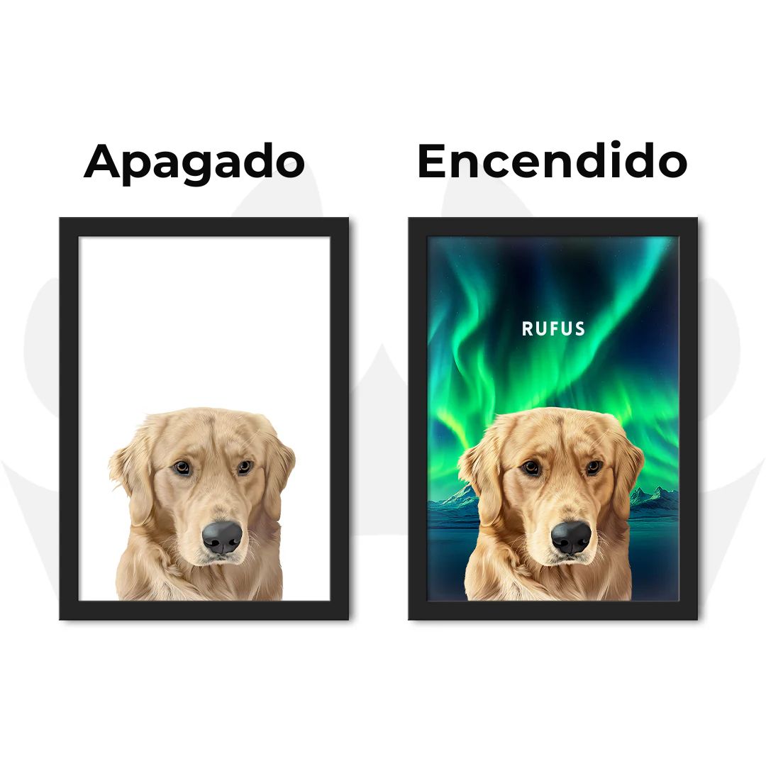Cuadro iluminado y personalizado de mascota