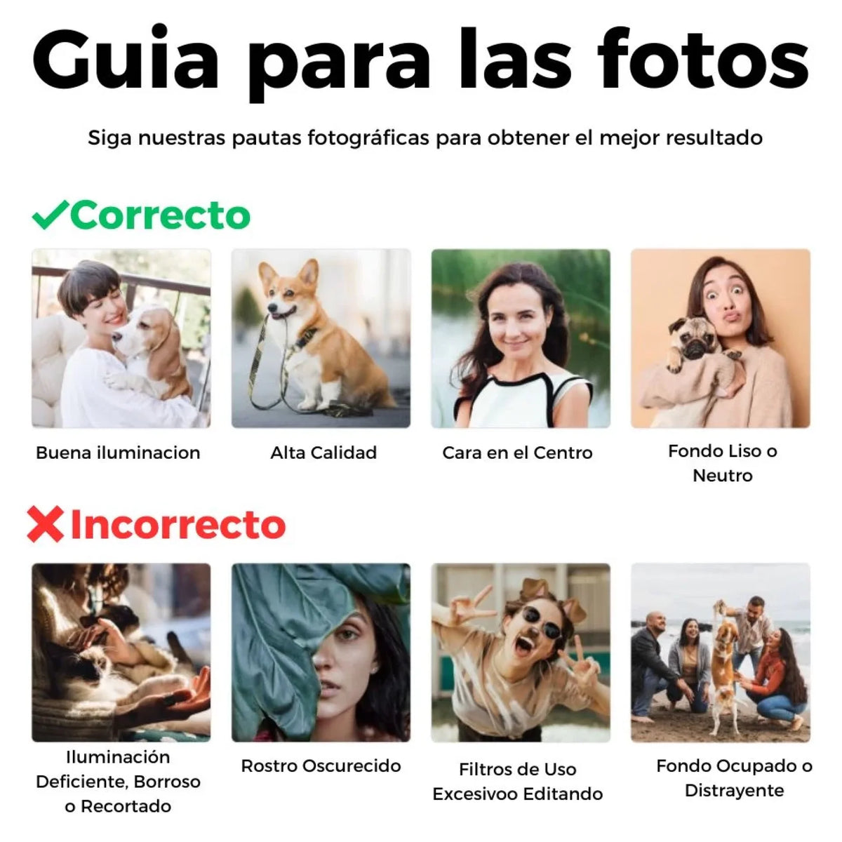 Guia para las fotos