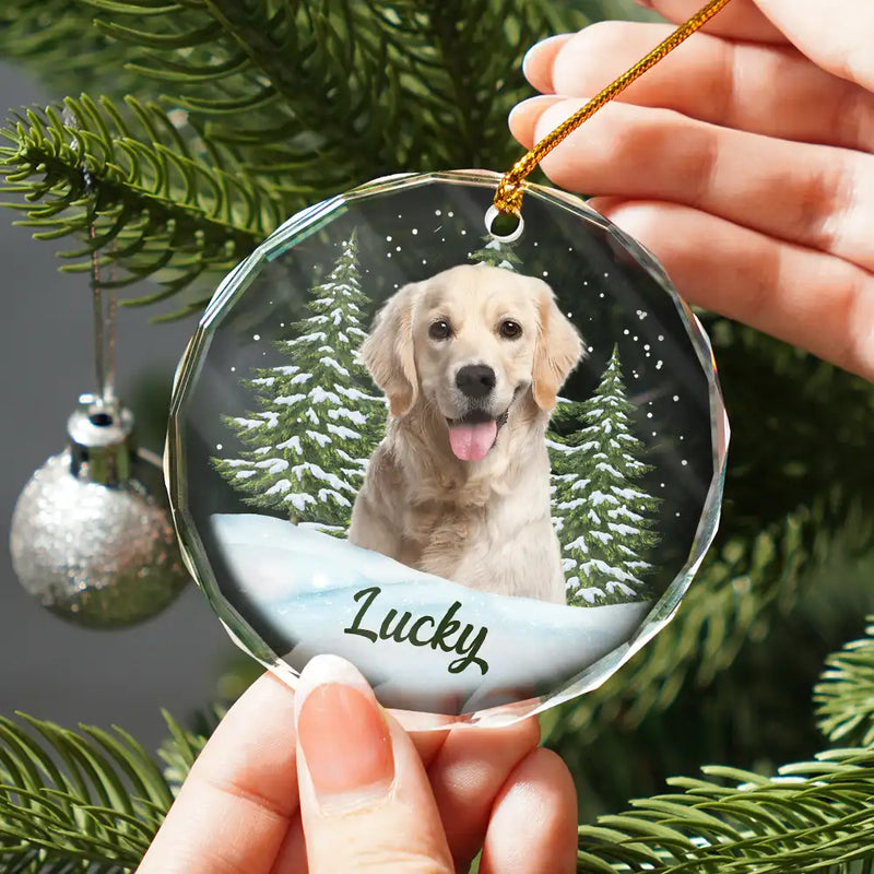 Adorno circular de cristal personalizado - Regalo de Navidad para amantes de los perros, gatos y mascotas