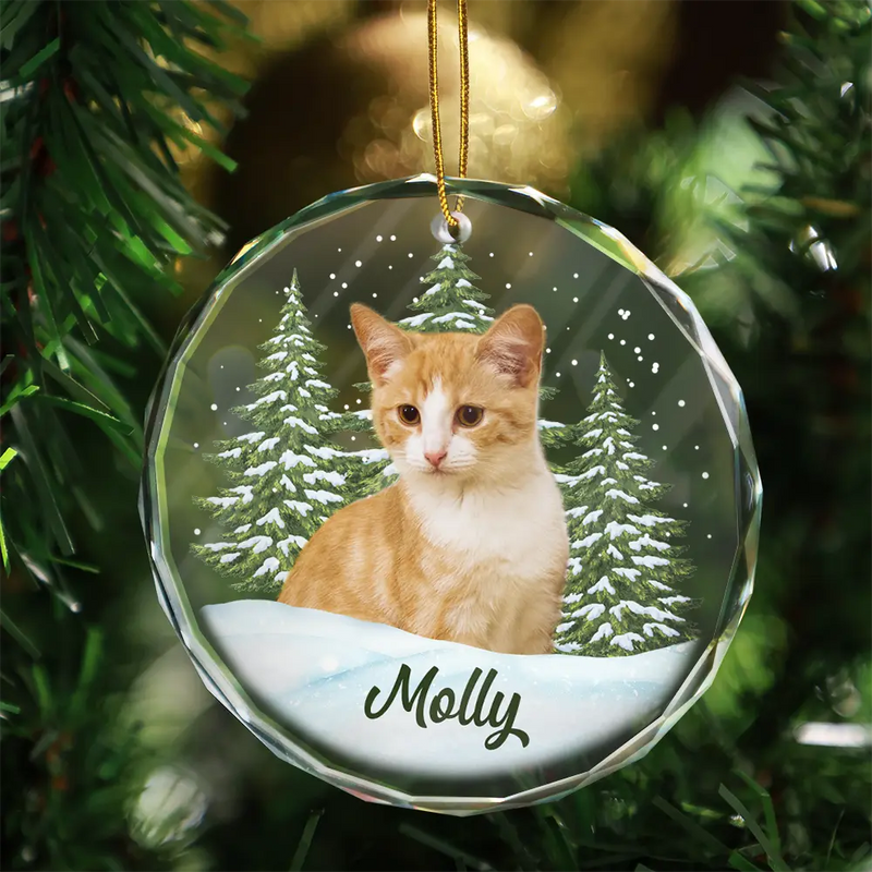 Adorno circular de cristal personalizado - Regalo de Navidad para amantes de los perros, gatos y mascotas