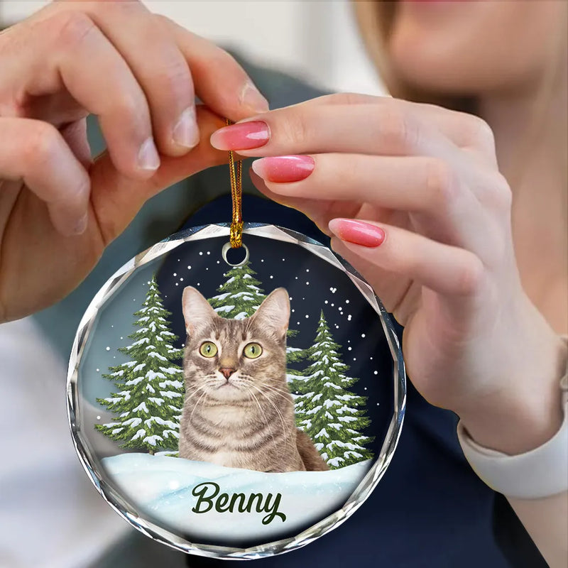 Adorno circular de cristal personalizado - Regalo de Navidad para amantes de los perros, gatos y mascotas