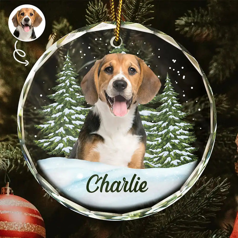 Adorno circular de cristal personalizado - Regalo de Navidad para amantes de los perros, gatos y mascotas